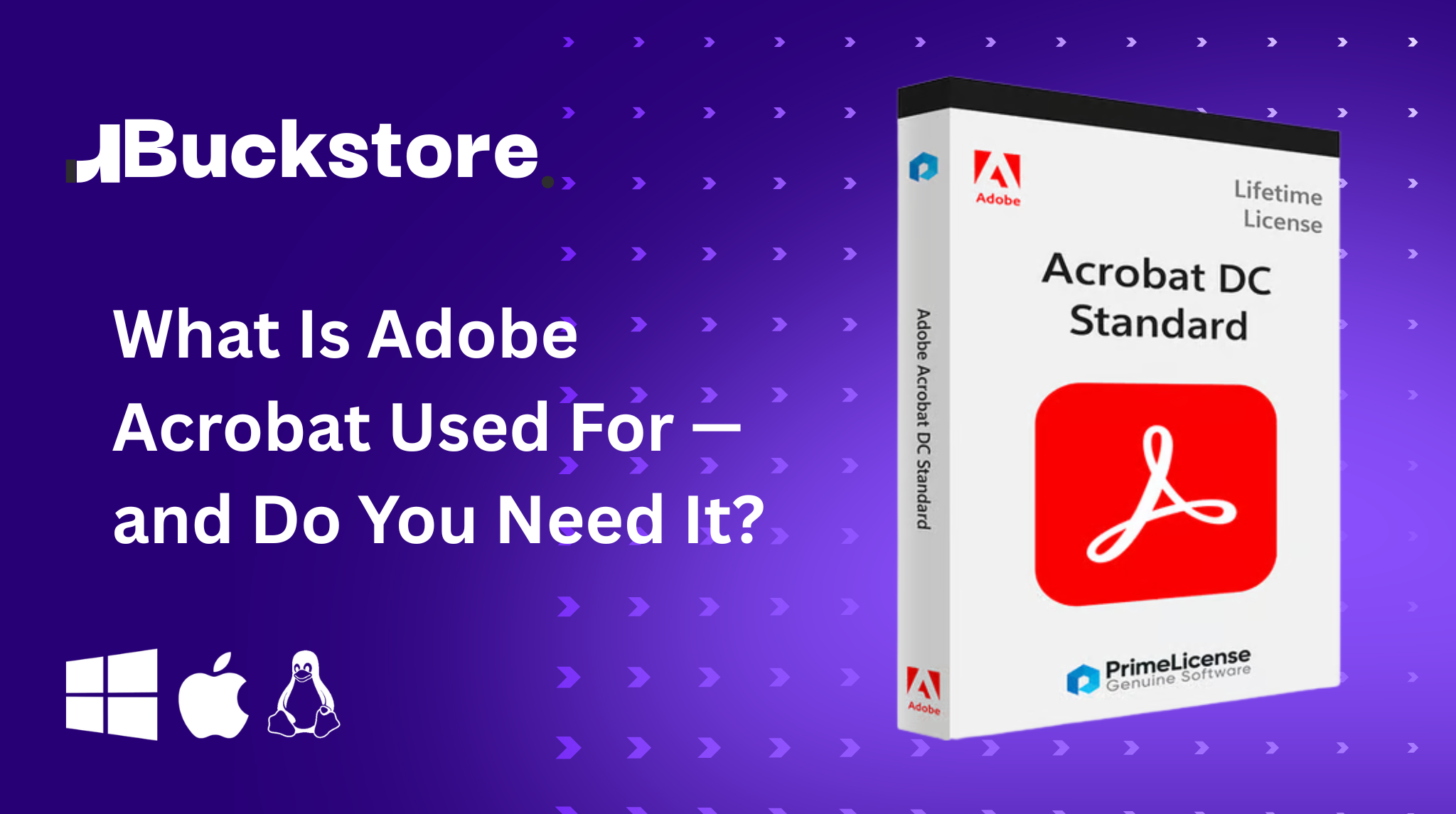 What Is Adobe Acrobat Used For — and Do You Need It?